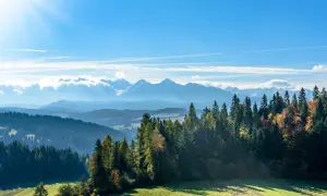 Widok na Tatry z lasem iglastym i jesiennymi drzewami. Idealne miejsce na zakopane wakacje.