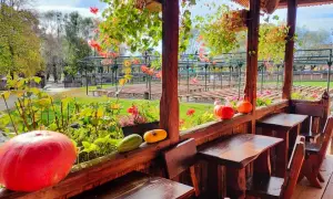 Gdzie zjeść w Sanoku? Odkryj najlepsze restauracje i smaki regionu