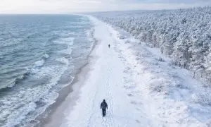 Spacerem po zaśnieżonej plaży, gdzie zimą nad morze, widać fale i las pokryty śniegiem.