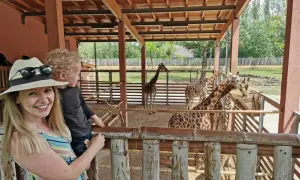 Kobieta z dzieckiem w zoo, obserwują żyrafy przy karmniku.