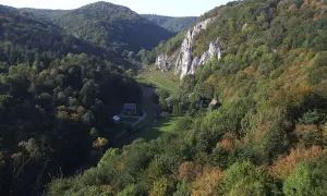 Malowniczy krajobraz doliny Prądnika w OPN z wapiennymi skałami i lasami.