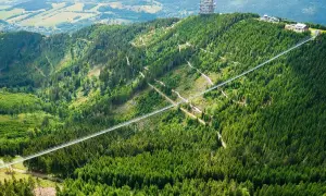 Widok na najwyższy most w Czechach, zawieszony nad zielonym lasem, z wieżą widokową na szczycie góry.