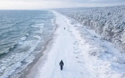 Spacerem po zaśnieżonej plaży, gdzie zimą nad morze, widać fale i las pokryty śniegiem.