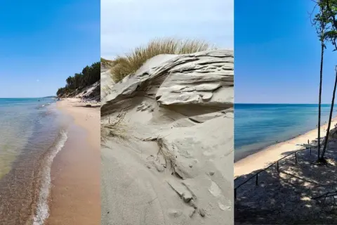 Trzy ujęcia dzikich plaż: piaszczyste wydmy z trawami, spokojne morze i las sosnowy nad brzegiem.