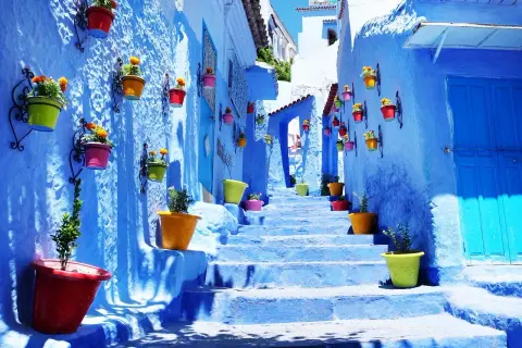 Kolorowe donice z kwiatami zdobią niebieskie schody w Maroku. To miejsce, które warto zobaczyć, by poczuć magię Chefchaouen.