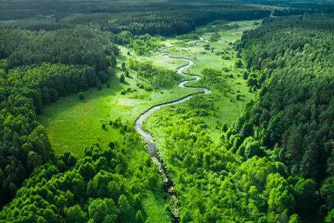 Malowniczy krajobraz z krętą rzeką przecinającą zielone **lasy w Polsce**. Bujna roślinność i rozległe połacie drzew tworzą sielski widok.