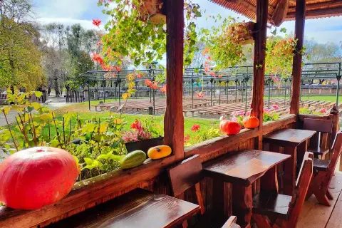 Gdzie zjeść w Sanoku? Odkryj najlepsze restauracje i smaki regionu