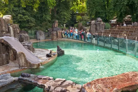 Rodzina z dzieckiem obserwuje foki w zoo. Woda w basenie jest turkusowa, a wokół skaliste otoczenie.