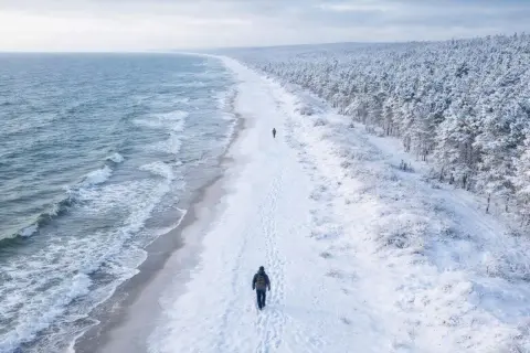 Spacerem po zaśnieżonej plaży, gdzie zimą nad morze, widać fale i las pokryty śniegiem.