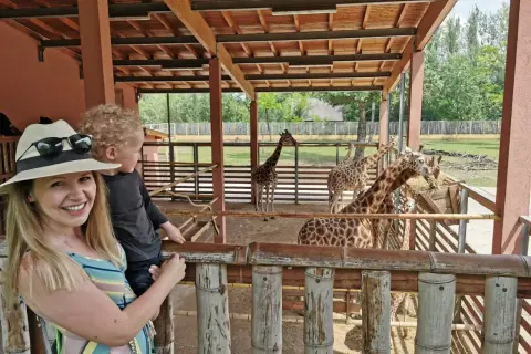 Kobieta z dzieckiem w zoo, obserwują żyrafy przy karmniku.
