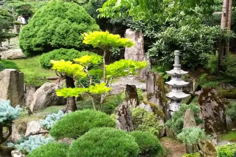Kamienna pagoda i bujna zieleń tworzą magiczny ogród japoński w Kudowie-Zdroju. To jedna z głównych atrakcji regionu.