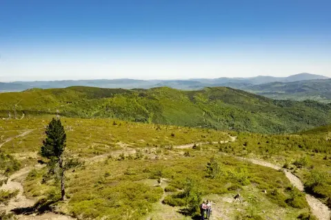 Malowniczy szlak na Baranią Górę, wijący się przez zielone wzgórza Beskidu Śląskiego. Dwoje turystów podziwia panoramę.