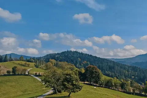 Zielony krajobraz Beskidów z krętą drogą, drzewami i lasem na wzgórzach. To jeden z najpiękniejszych szlaków w Beskidach.