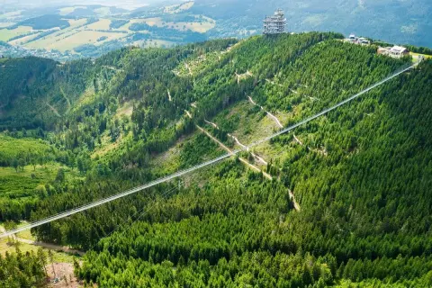 Widok na najwyższy most w Czechach, zawieszony nad zielonym lasem, z wieżą widokową na szczycie góry.