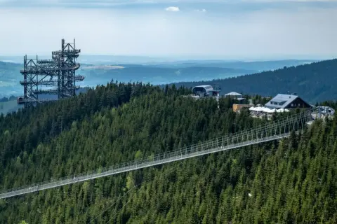 Widok na najdłuższy most wiszący w Polsce, otoczony gęstym lasem świerkowym. W oddali widać wieżę widokową i budynki.