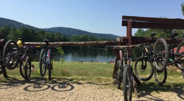 Rowerowe przygody czekają! Wiele rowerów gotowych do podboju tras rowerowych Świeradów Zdrój, nad jeziorem z plażowiczami.