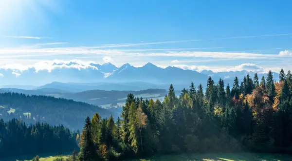Widok na Tatry z lasem iglastym i jesiennymi drzewami. Idealne miejsce na zakopane wakacje.