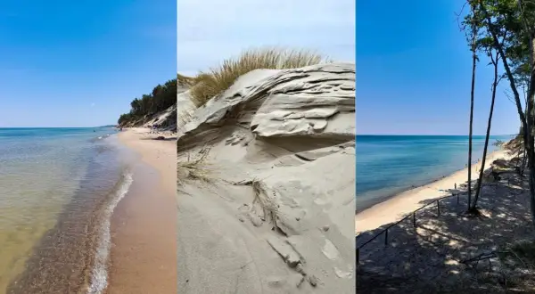 Trzy ujęcia dzikich plaż: piaszczyste wydmy z trawami, spokojne morze i las sosnowy nad brzegiem.