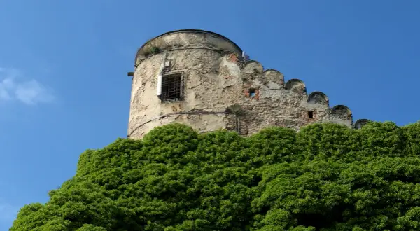 Kamienna wieża zamku na tle błękitnego nieba, otoczona zielenią.
