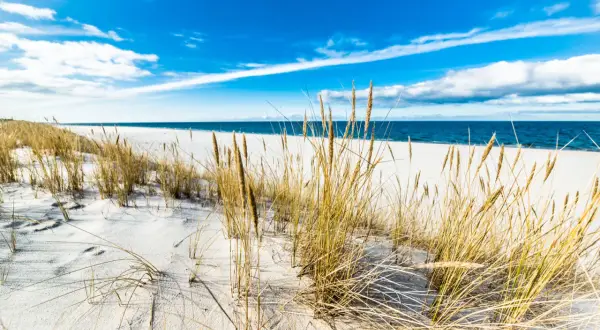 Piasek, trawy morskie i błękitne niebo nad Bałtykiem – to jedne z najpiękniejszych plaż w Polsce.