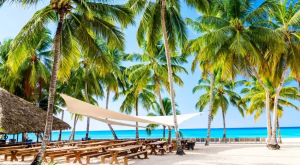 Rajska plaża z palmami i ławkami. Idealne miejsce na wakacje, kiedy jechać do Dominikany?