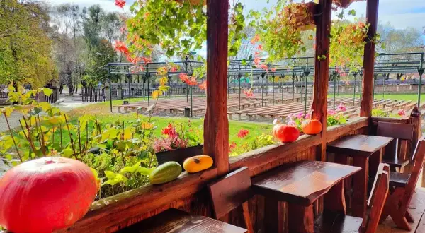 Gdzie zjeść w Sanoku? Odkryj najlepsze restauracje i smaki regionu