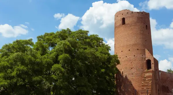 Ceglana wieża, jeden z zamków na Mazowszu, góruje nad zielonym drzewem w słoneczny dzień.