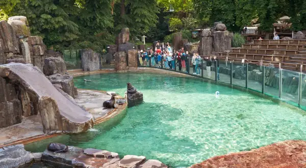 Rodzina z dzieckiem obserwuje foki w zoo. Woda w basenie jest turkusowa, a wokół skaliste otoczenie.