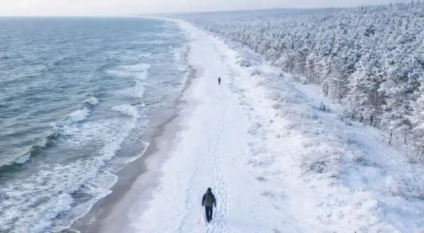 Spacerem po zaśnieżonej plaży, gdzie zimą nad morze, widać fale i las pokryty śniegiem.