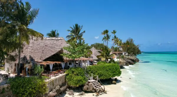Rajski widok na Zanzibar, idealny czas na wakacje. Tropikalna plaża z palmami, kamiennymi schodkami i restauracją pod strzechą.