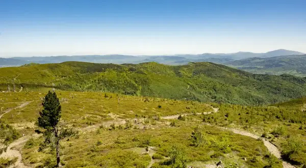 Malowniczy szlak na Baranią Górę, wijący się przez zielone wzgórza Beskidu Śląskiego. Dwoje turystów podziwia panoramę.