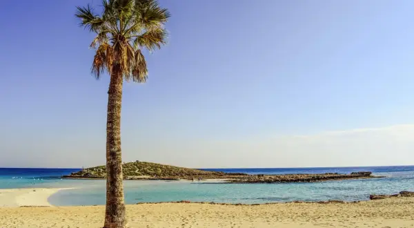 Idealne miejsce, gdzie na wakacje we wrześniu: piaszczysta plaża, turkusowa woda i samotna palma.