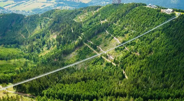 Widok na najwyższy most w Czechach, zawieszony nad zielonym lasem, z wieżą widokową na szczycie góry.