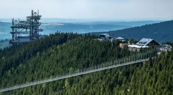 Widok na najdłuższy most wiszący w Polsce, otoczony gęstym lasem świerkowym. W oddali widać wieżę widokową i budynki.
