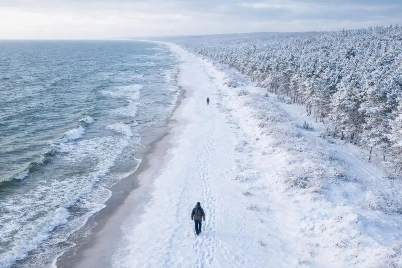 Spacerem po zaśnieżonej plaży, gdzie zimą nad morze, widać fale i las pokryty śniegiem.