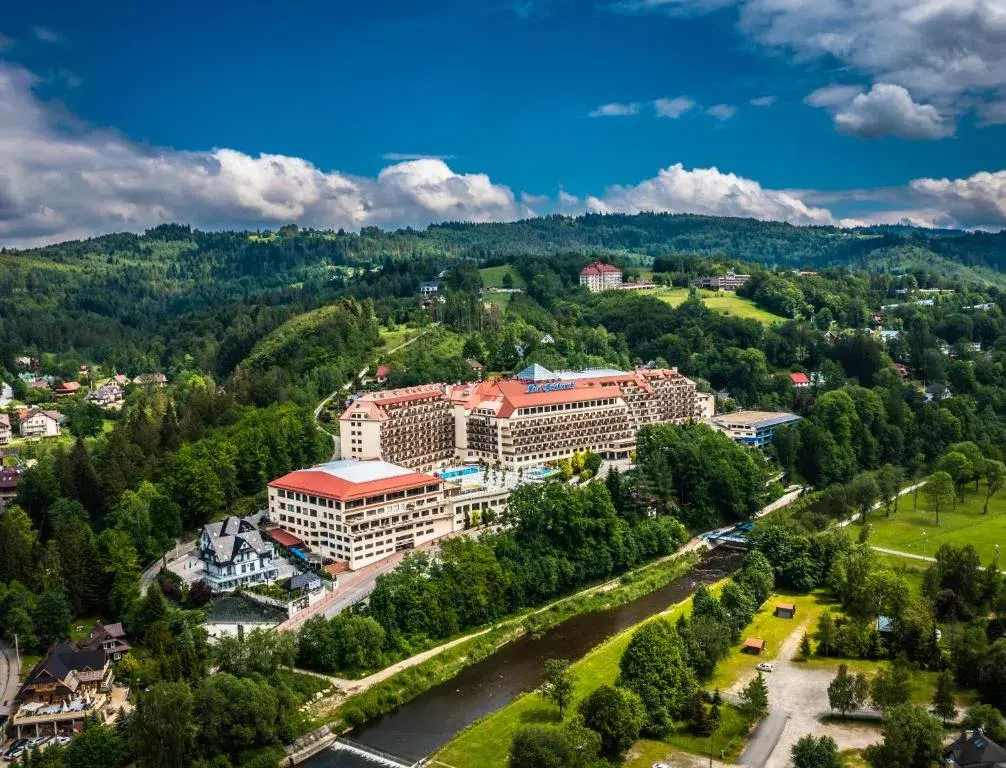 Ile kosztuje obiad w hotelu Gołębiewskim? Sprawdź ceny i zniżki