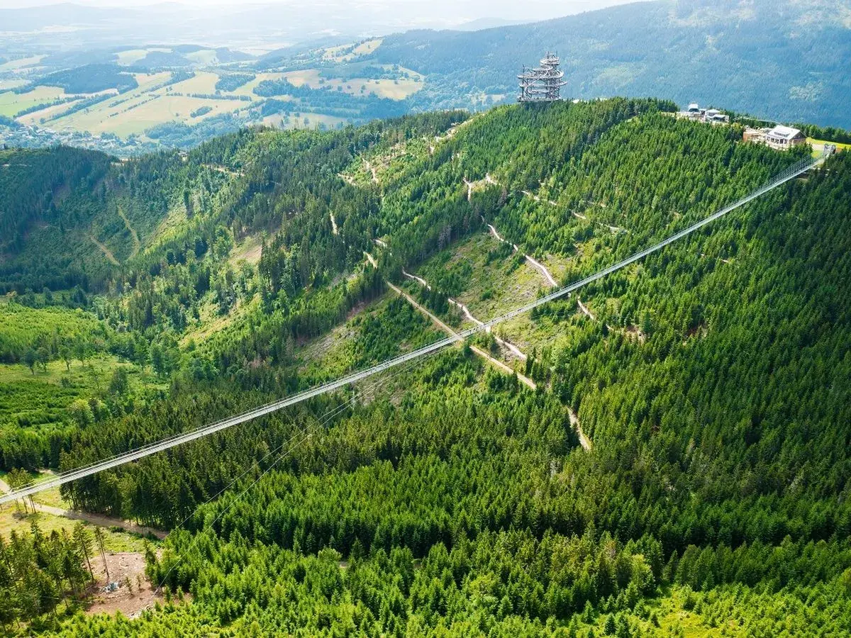 Widok na najwyższy most w Czechach, zawieszony nad zielonym lasem, z wieżą widokową na szczycie góry.