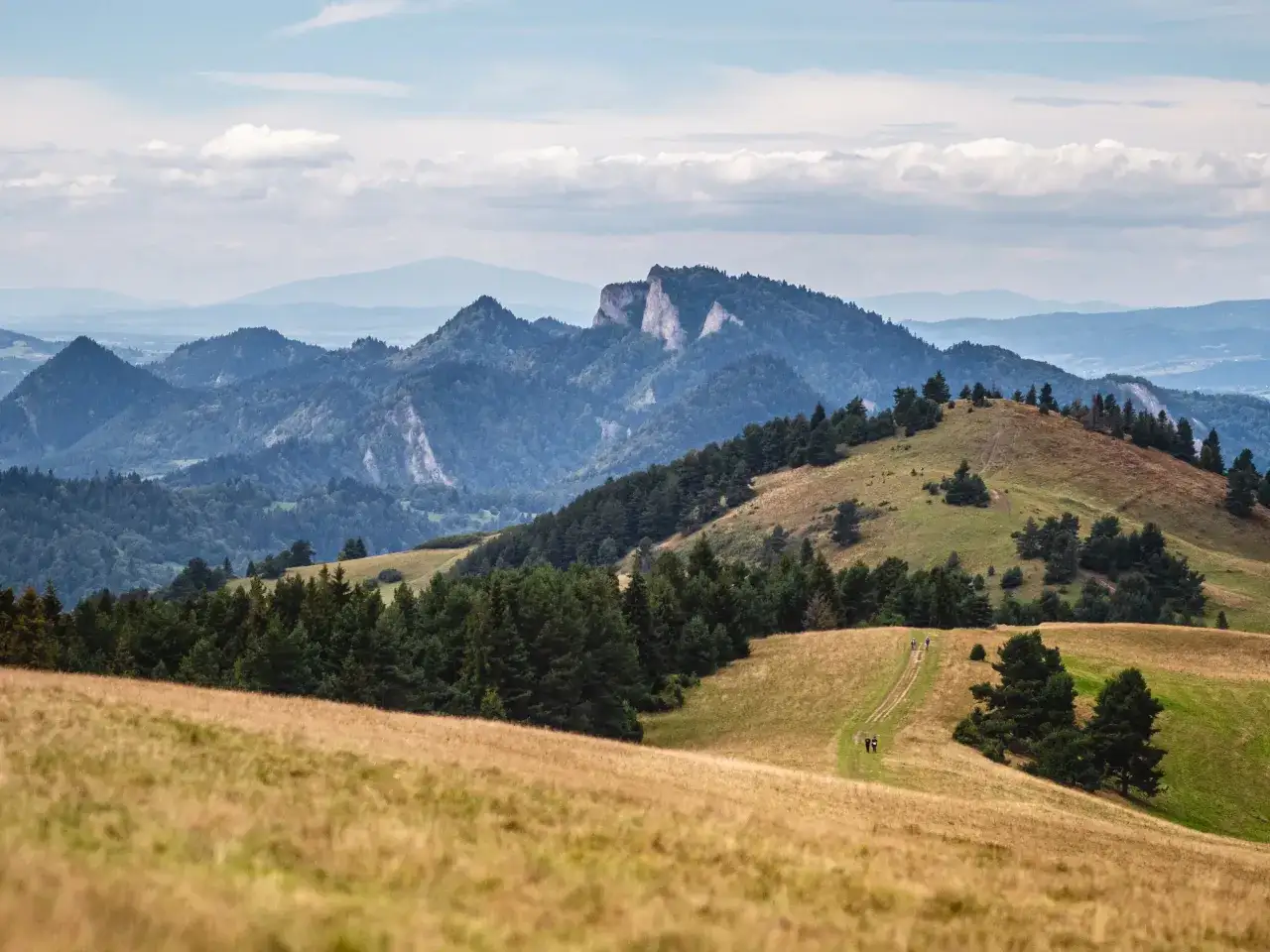Widok na Pieniny z okolic Szczawnicy. W oddali skaliste szczyty, na pierwszym planie zielone wzgórza i ścieżka z turystami.