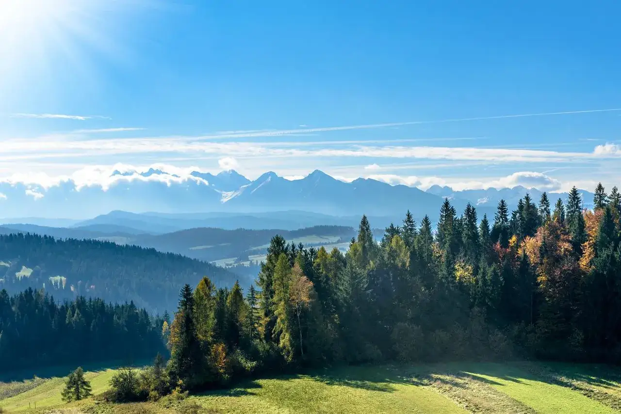Słoneczny poranek w Tatrach, idealny na zakopane wakacje. Las iglasty i liściasty na tle górskich szczytów.
