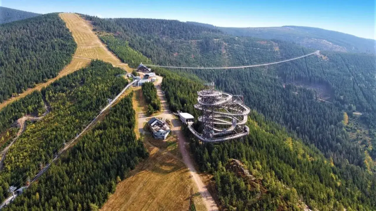 Widok na najwyższy most w Czechach, zawieszony nad lasem, obok wieży widokowej i zjeżdżalni.