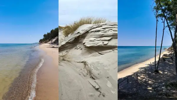 Trzy ujęcia dzikich plaż: piaszczyste wydmy z trawami, spokojne morze i las sosnowy nad brzegiem.