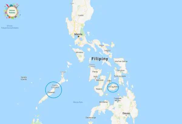 Mapa pokazuje, gdzie leżą Filipiny, z zaznaczonymi wyspami Luzon, Palawan i Mindanao, a także miastami Manila i Cebu.
