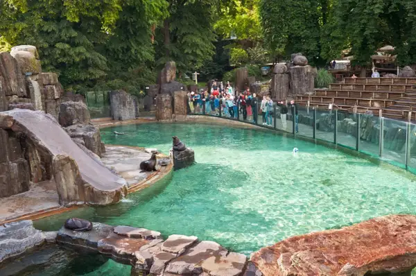 Rodzina z dzieckiem obserwuje foki w zoo. Woda w basenie jest turkusowa, a wokół skaliste otoczenie.