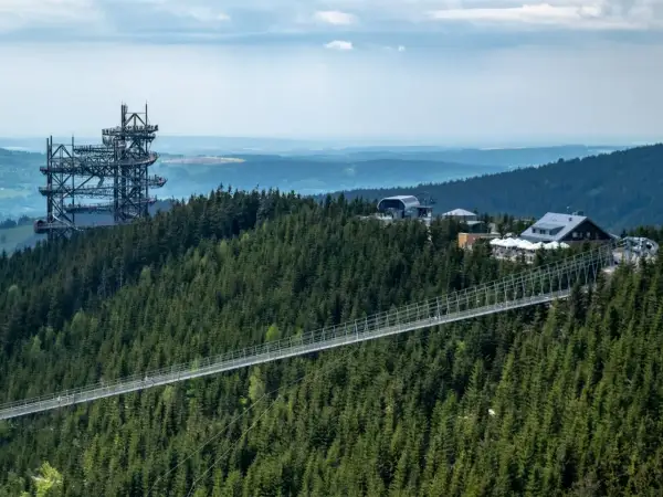 Widok na najdłuższy most wiszący w Polsce, otoczony gęstym lasem świerkowym. W oddali widać wieżę widokową i budynki.